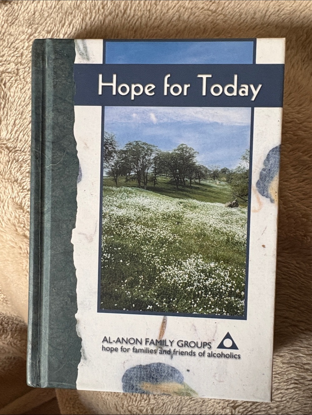 New!  Hope for Today Al-Anon Family Groups Hardback - Blue/Green/White